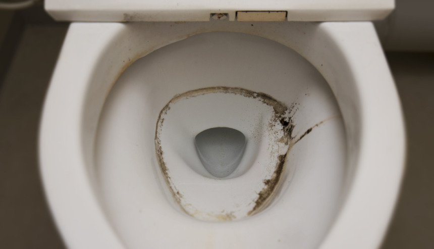 The Silent Threat: Battling Dangerous Black Mold in Your Toilet